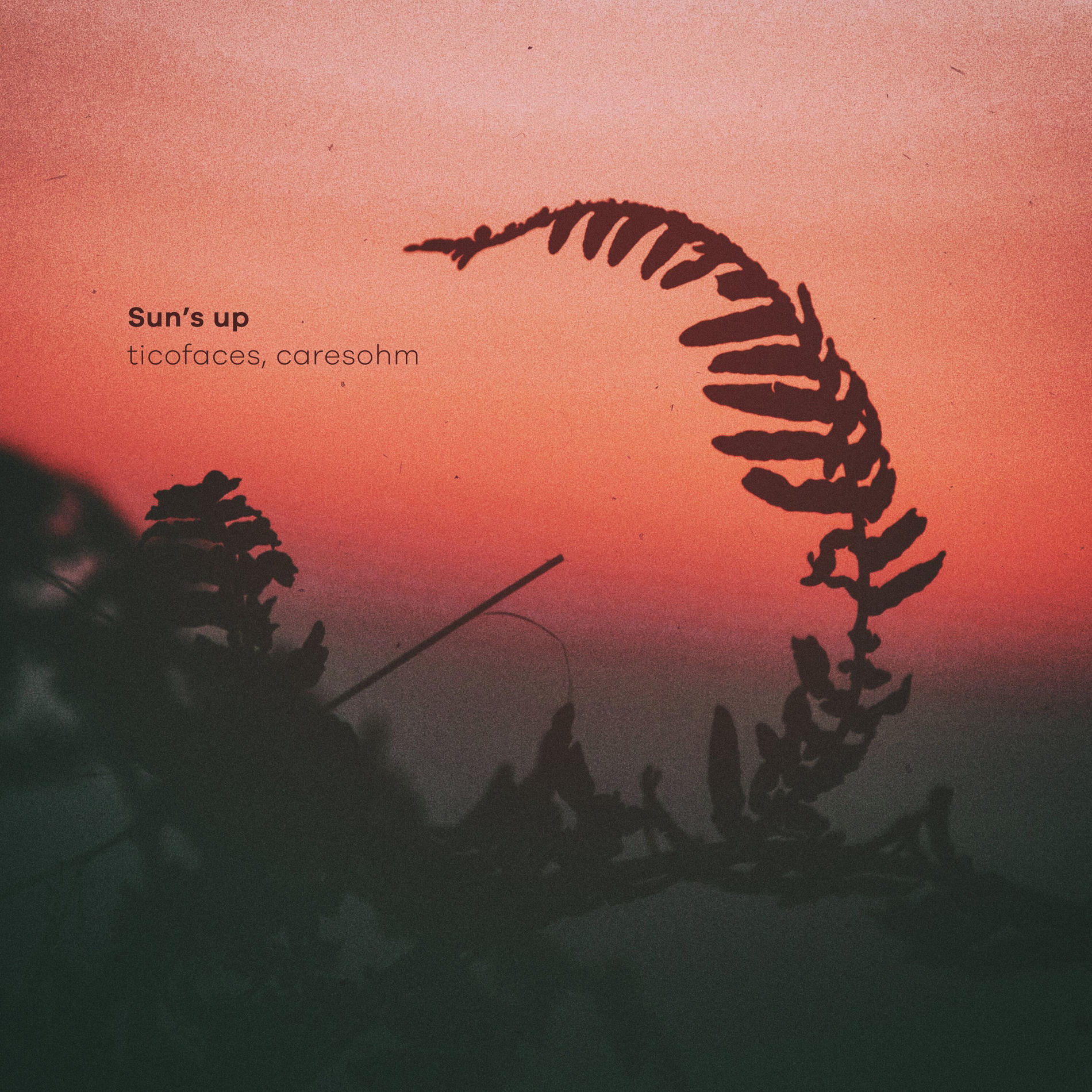 Album cover of Sun's Up