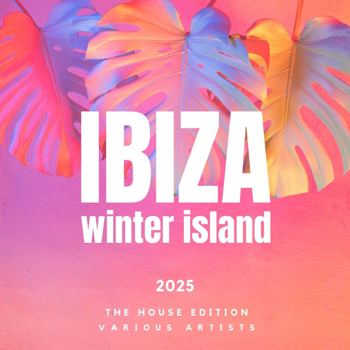 Album cover of Ibiza Winter Island 2025 (The House Edition)