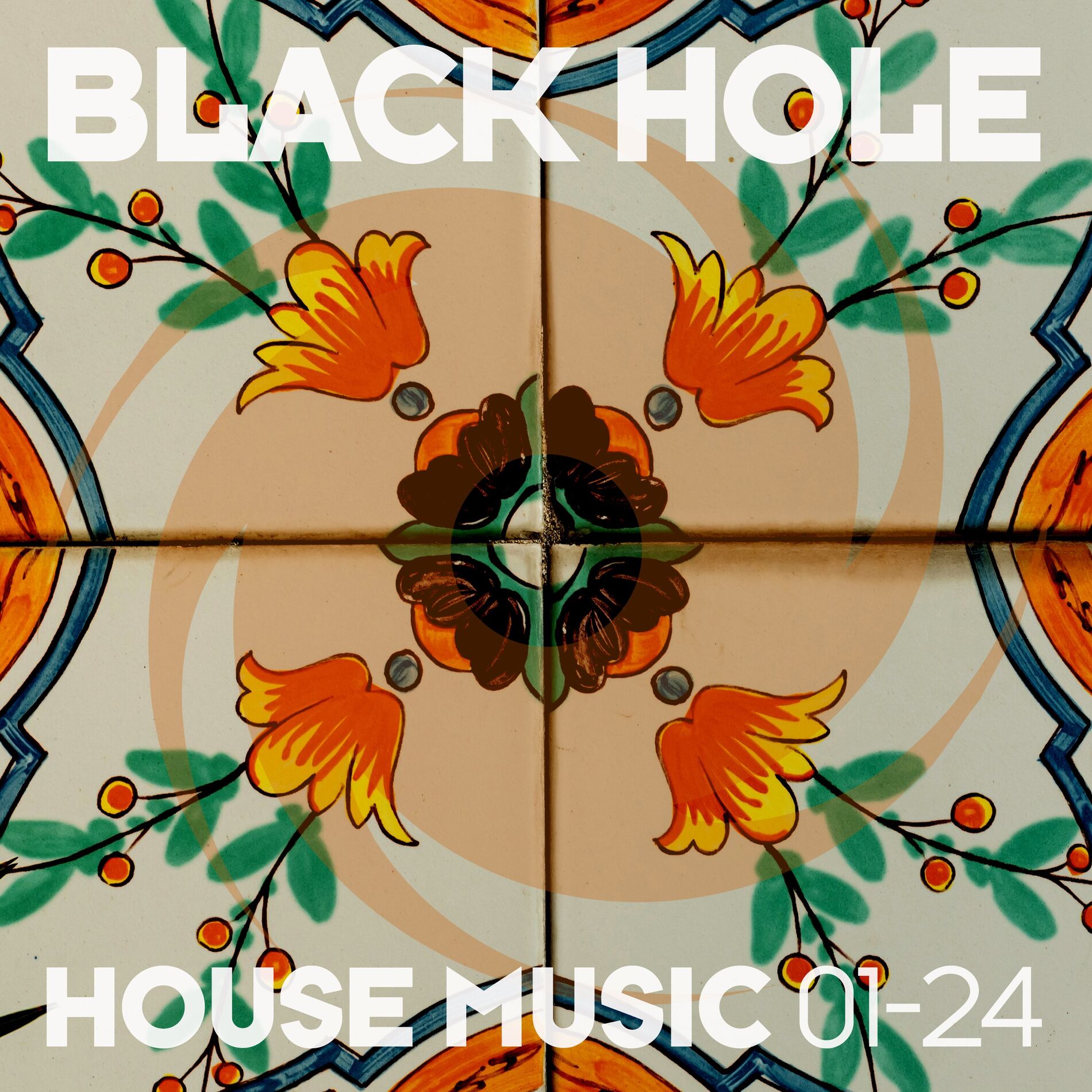 Album cover of Black Hole House Music 01-24