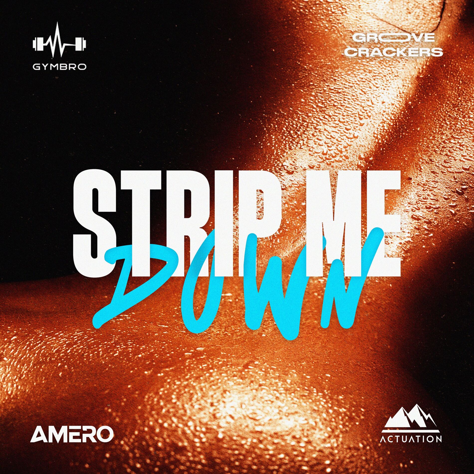 Album cover of Strip Me Down