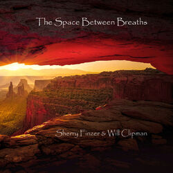 Cover of The Space Between Breaths