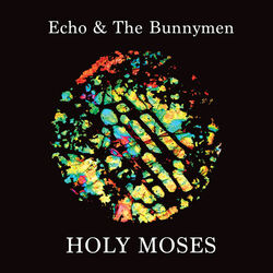 Cover of Holy Moses