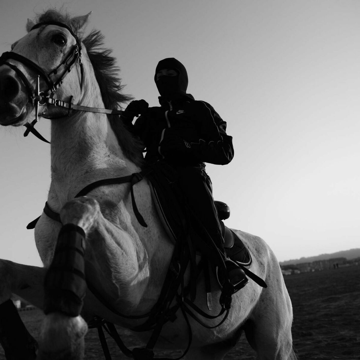 Album cover of Loco