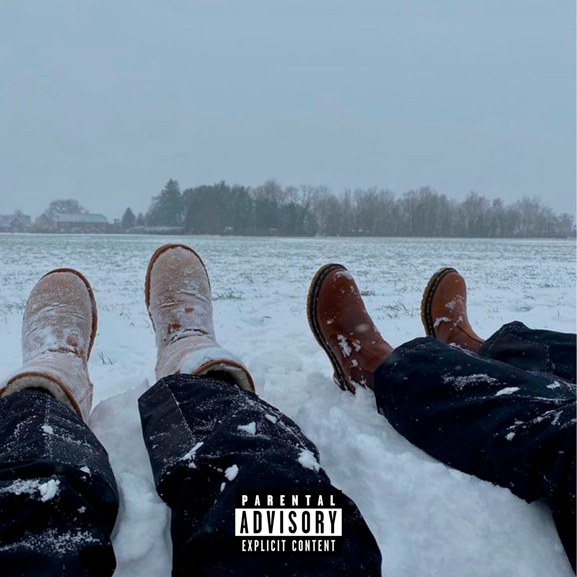 Album cover of De k te vale