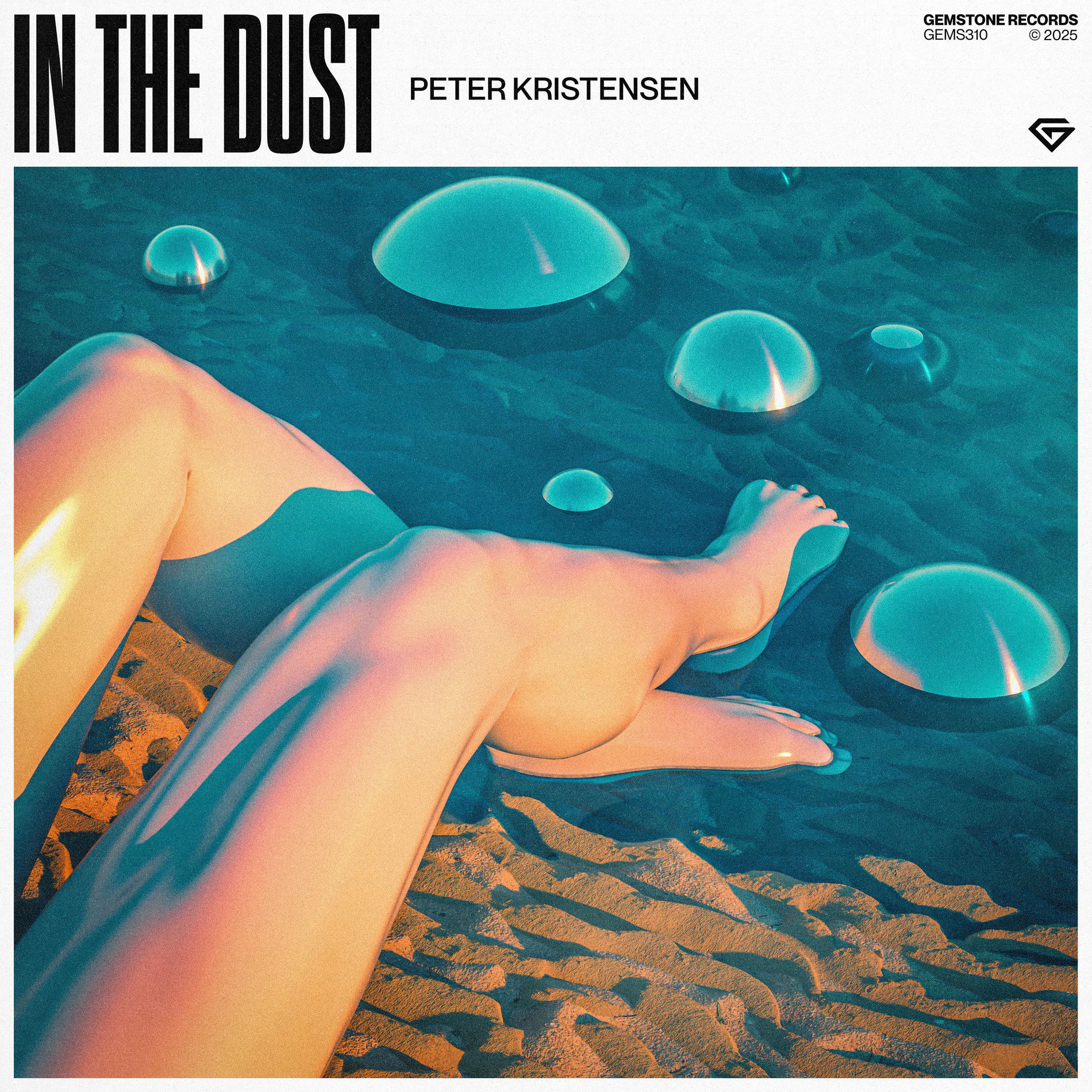 Album cover of In The Dust