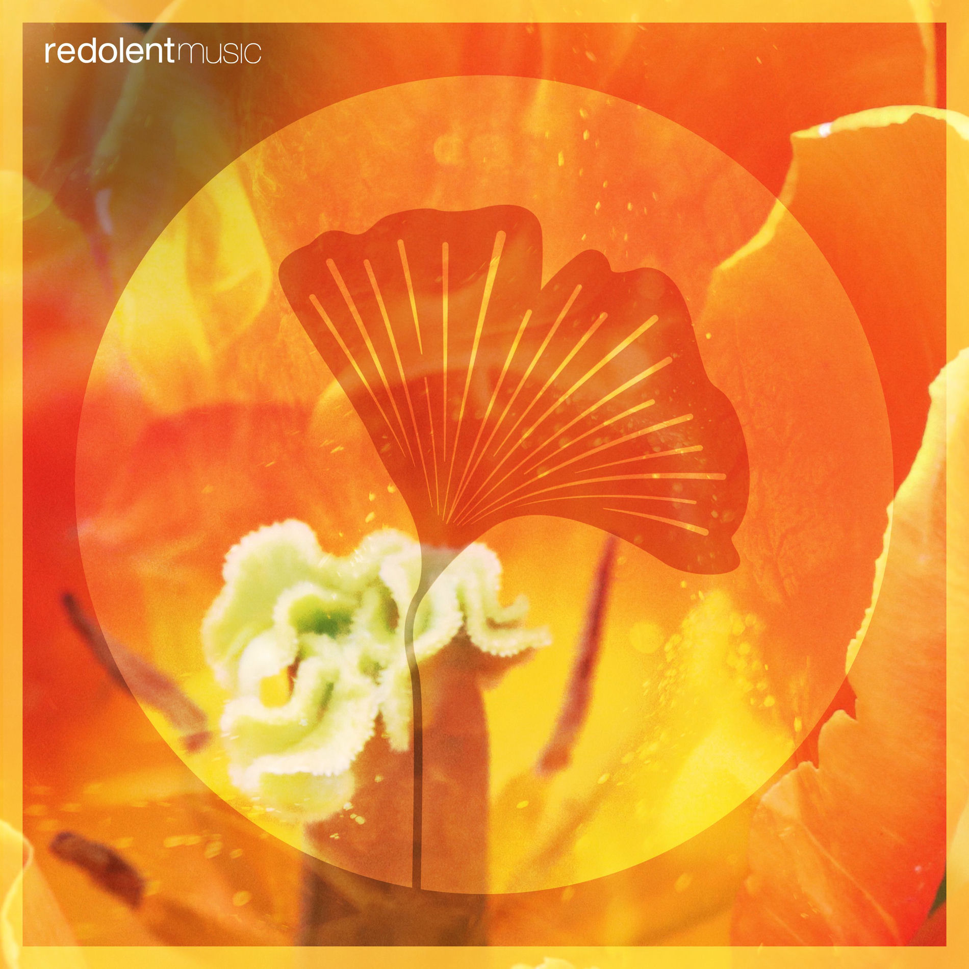 Album cover of Loco Morocco