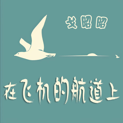 在飞机的航道上