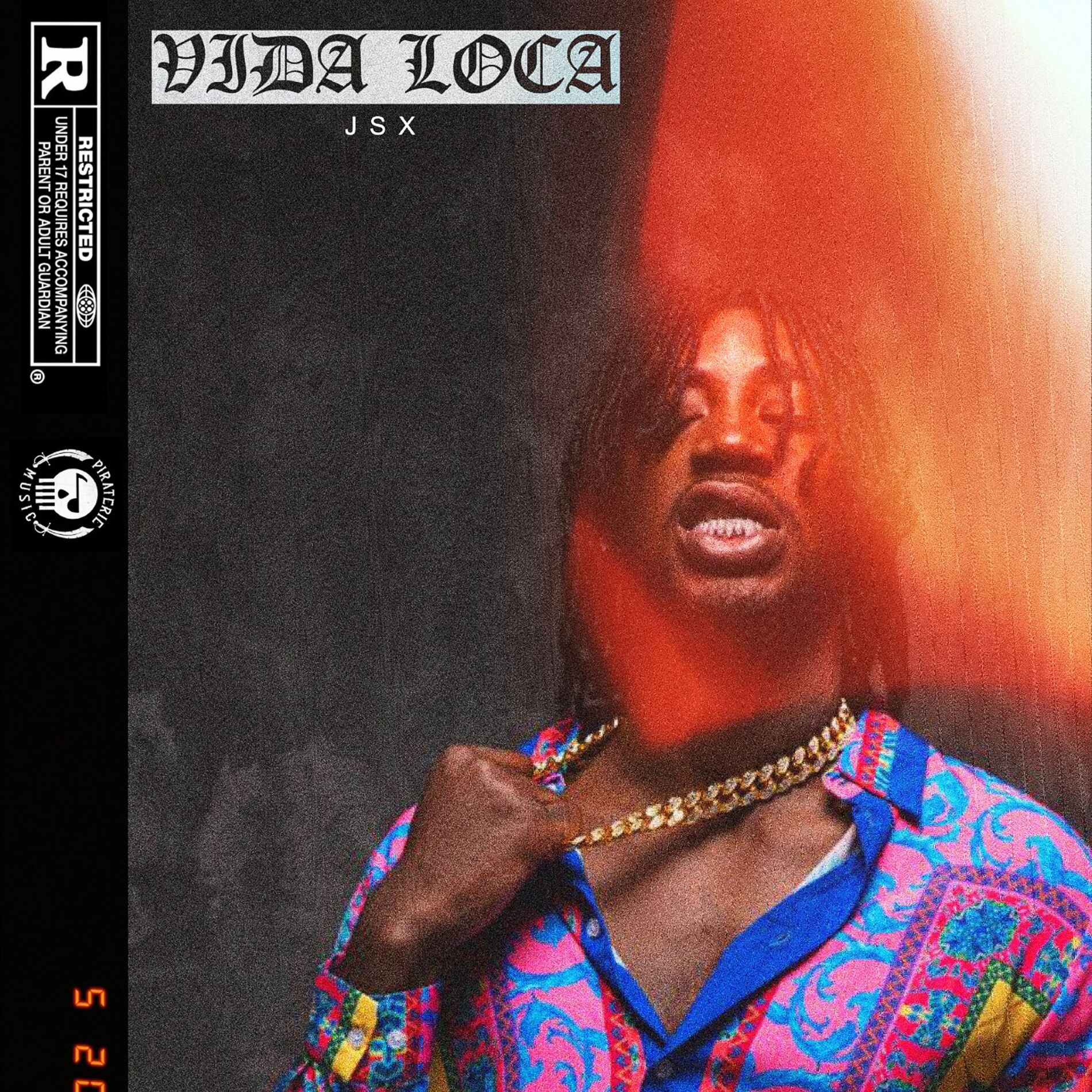 Album cover of Vida Loca