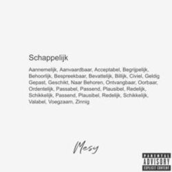 Cover of Schappelijk
