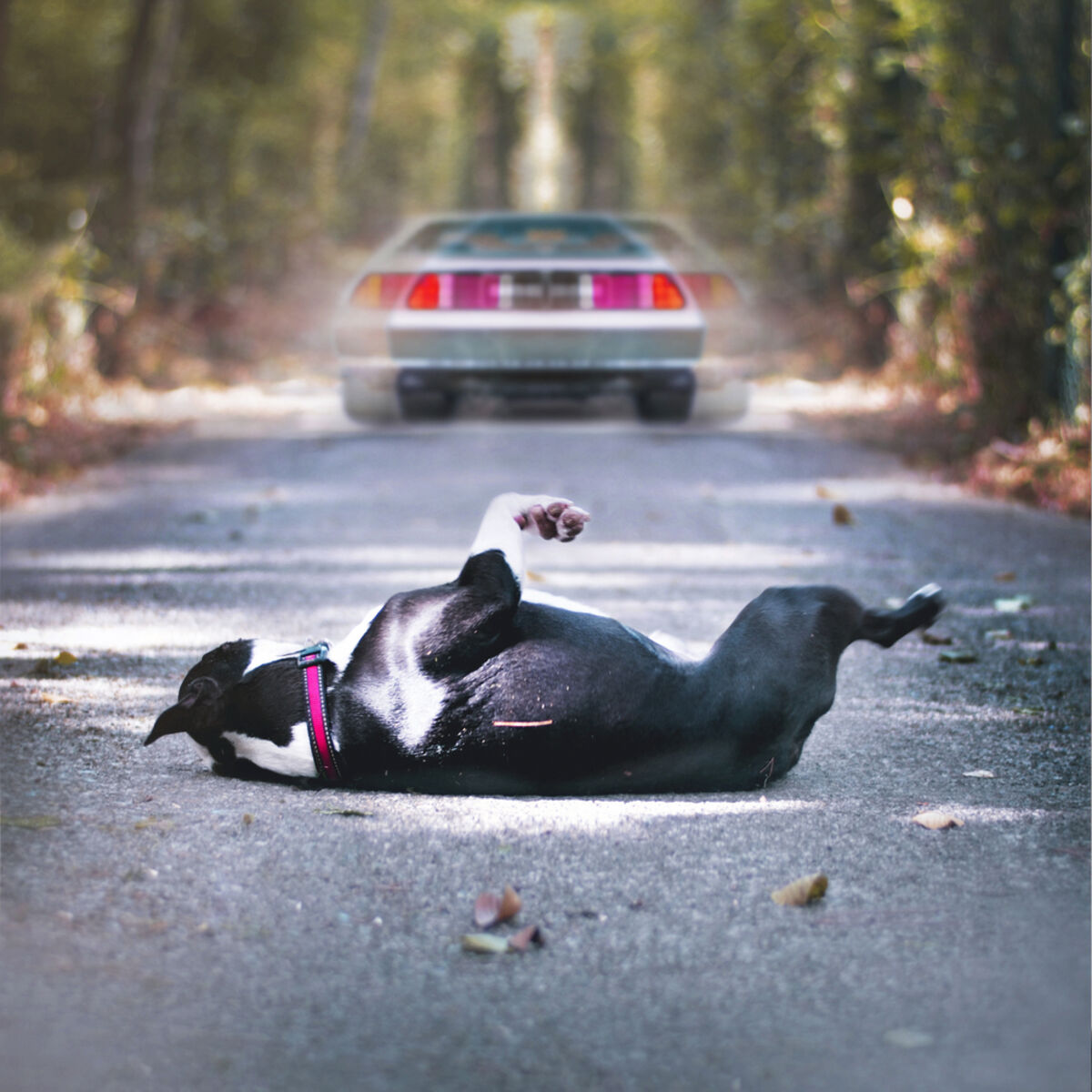 Album cover of Amnesia