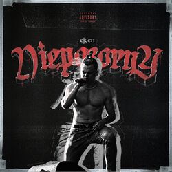 Cover of Niepozorny