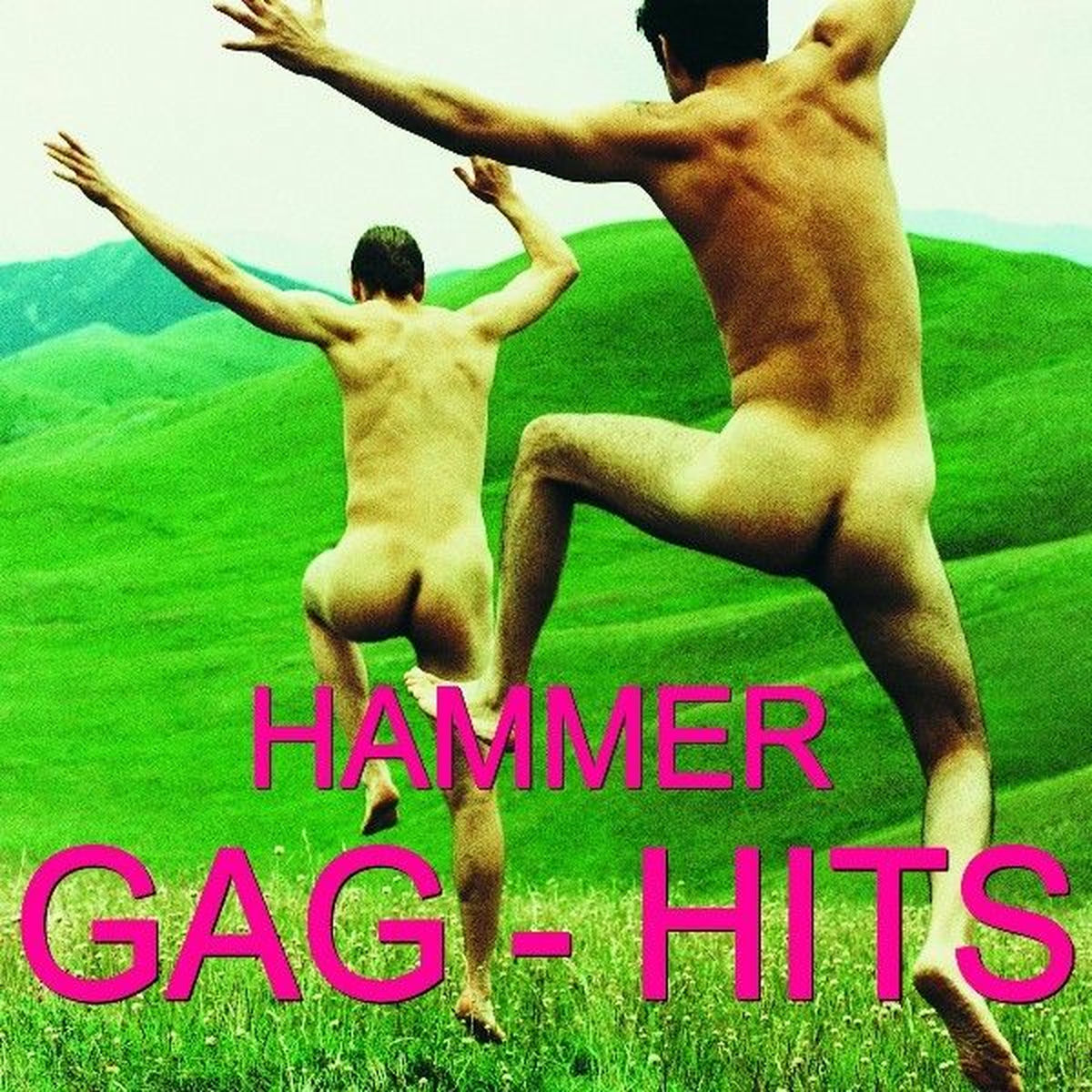 Album cover of Hammer Gag Hits - Ndw - Party