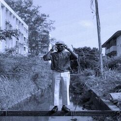 Cover of Shazam