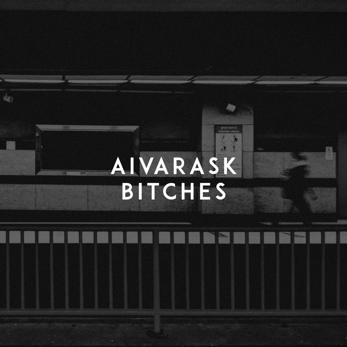 Album cover of Bitches