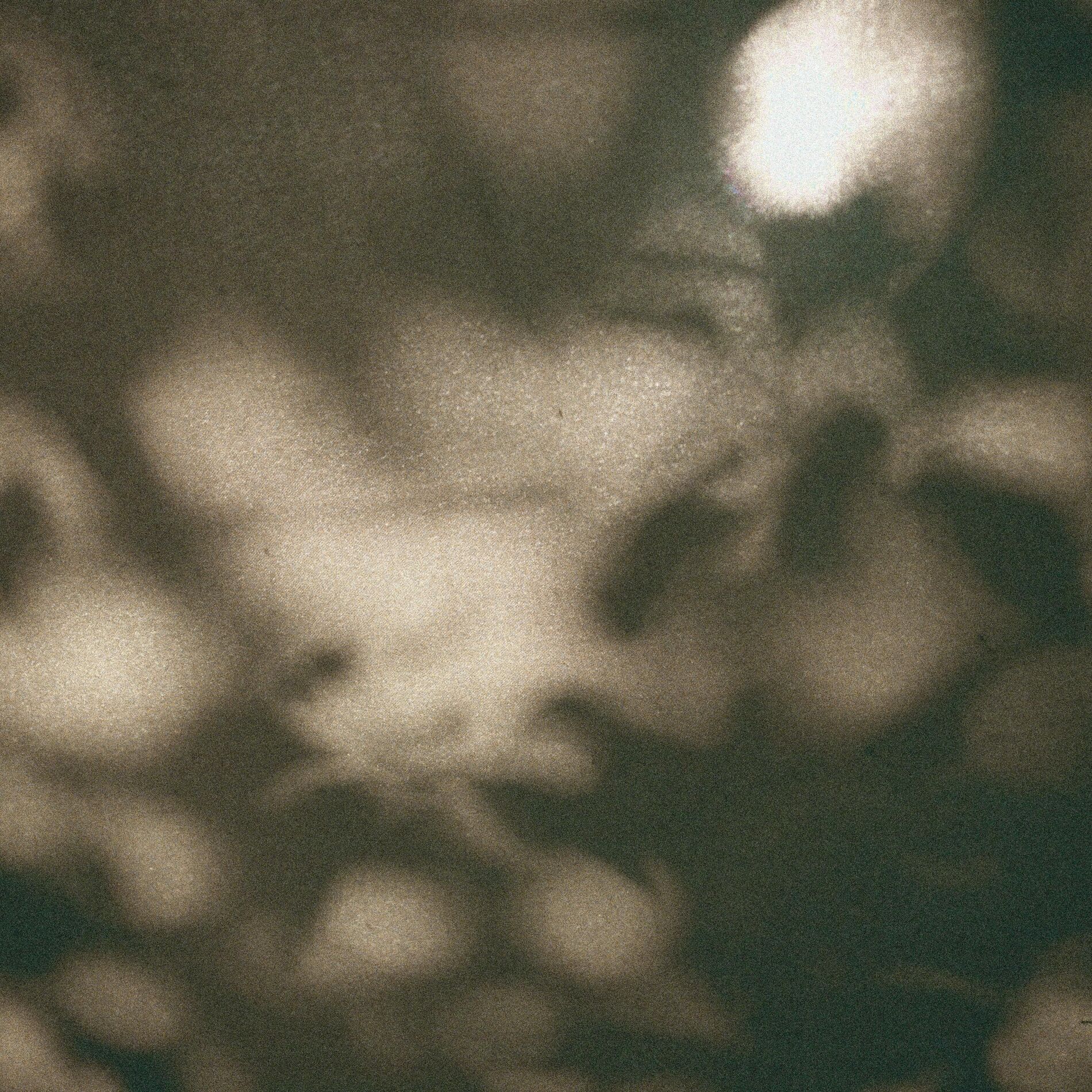 Album cover of Release