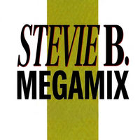 Stevie B - The Megamix (12inch Mix) album artwork