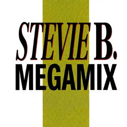 Stevie B - The Megamix (12inch Mix)