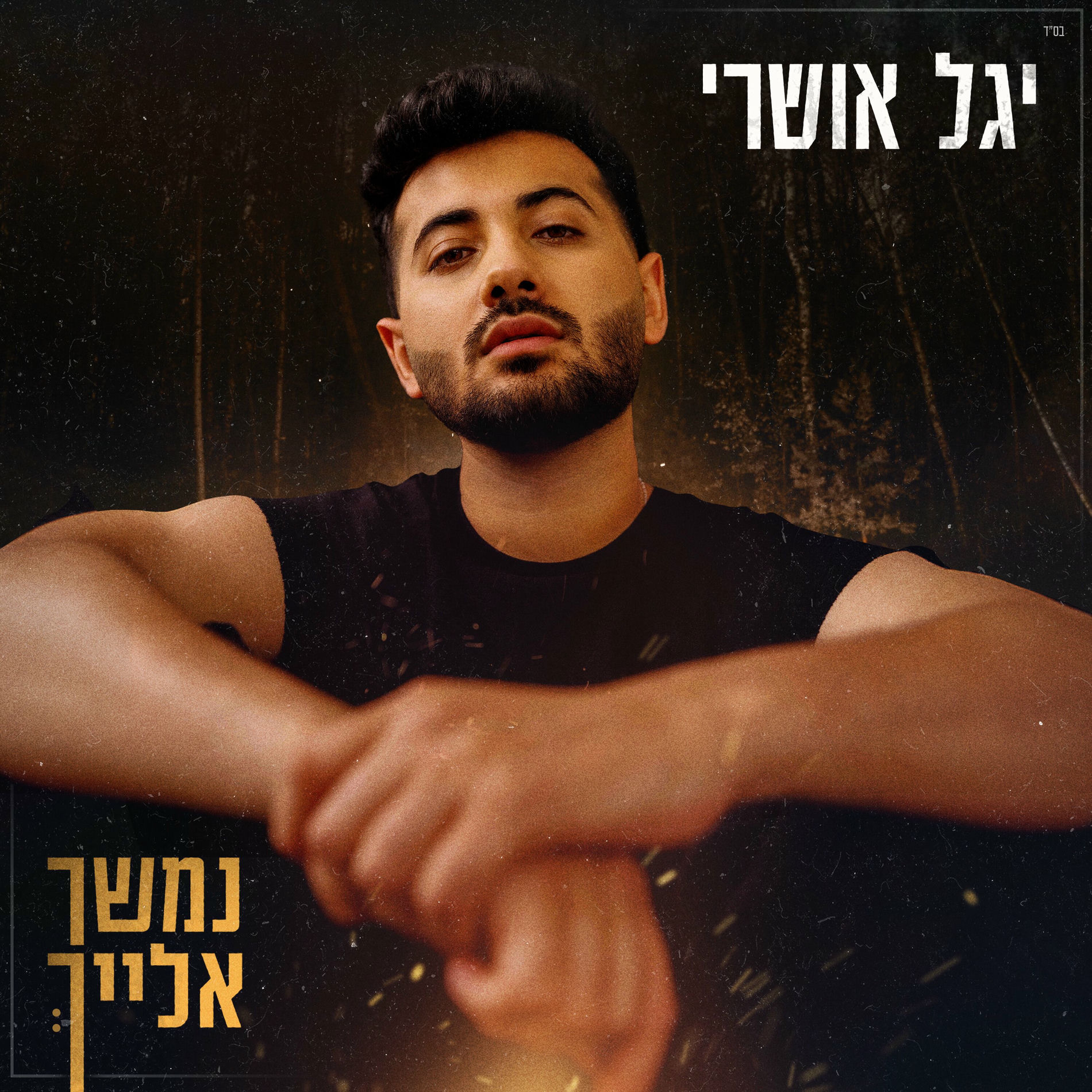 Album cover of נמשך אלייך