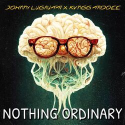 Cover of Nothing Ordinary