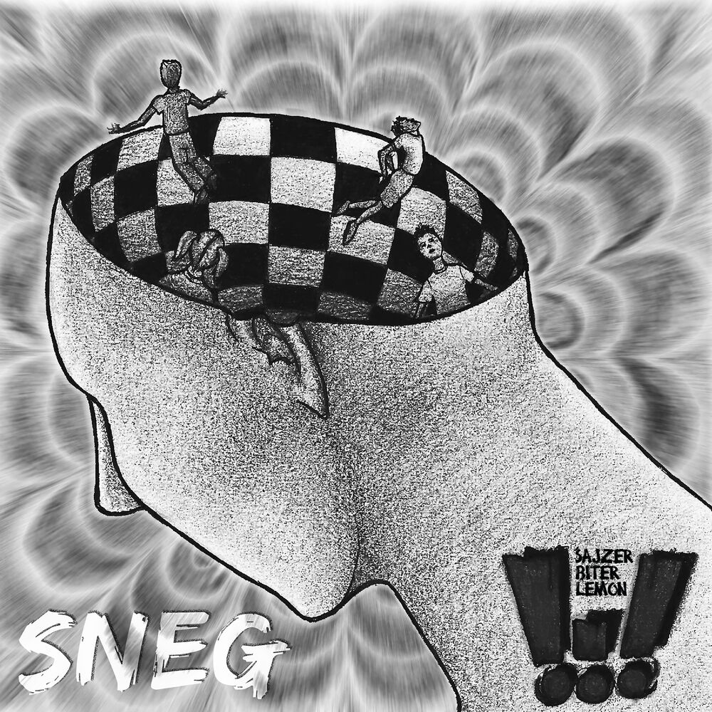 Picture of Sneg