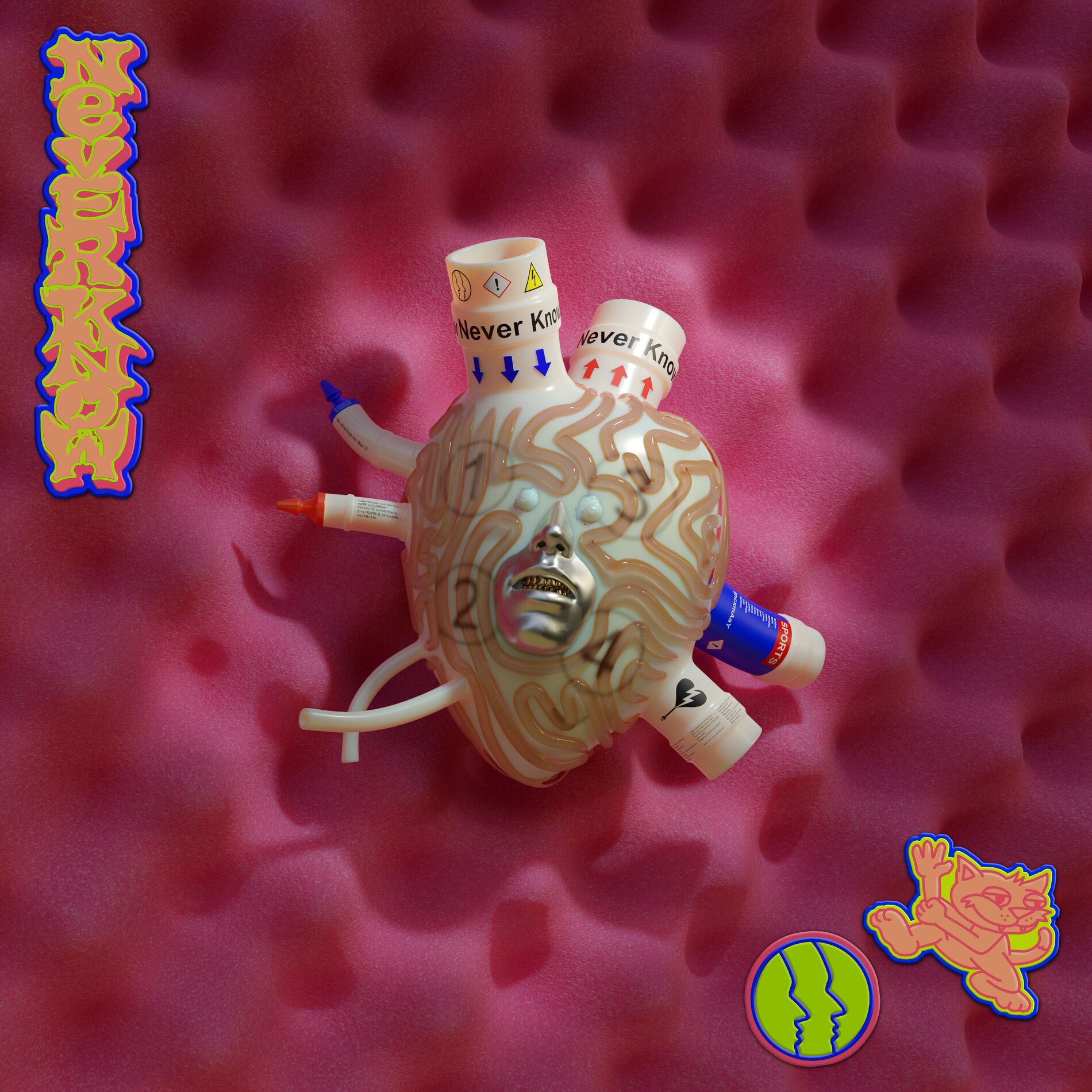 Album cover of Never Know