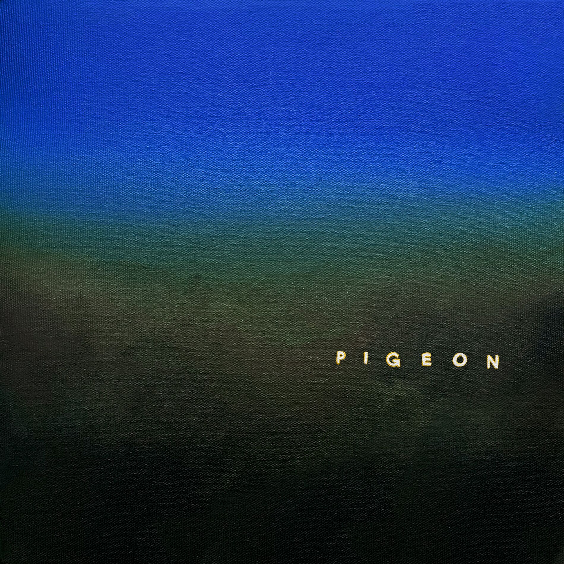 Album cover of Pigeon