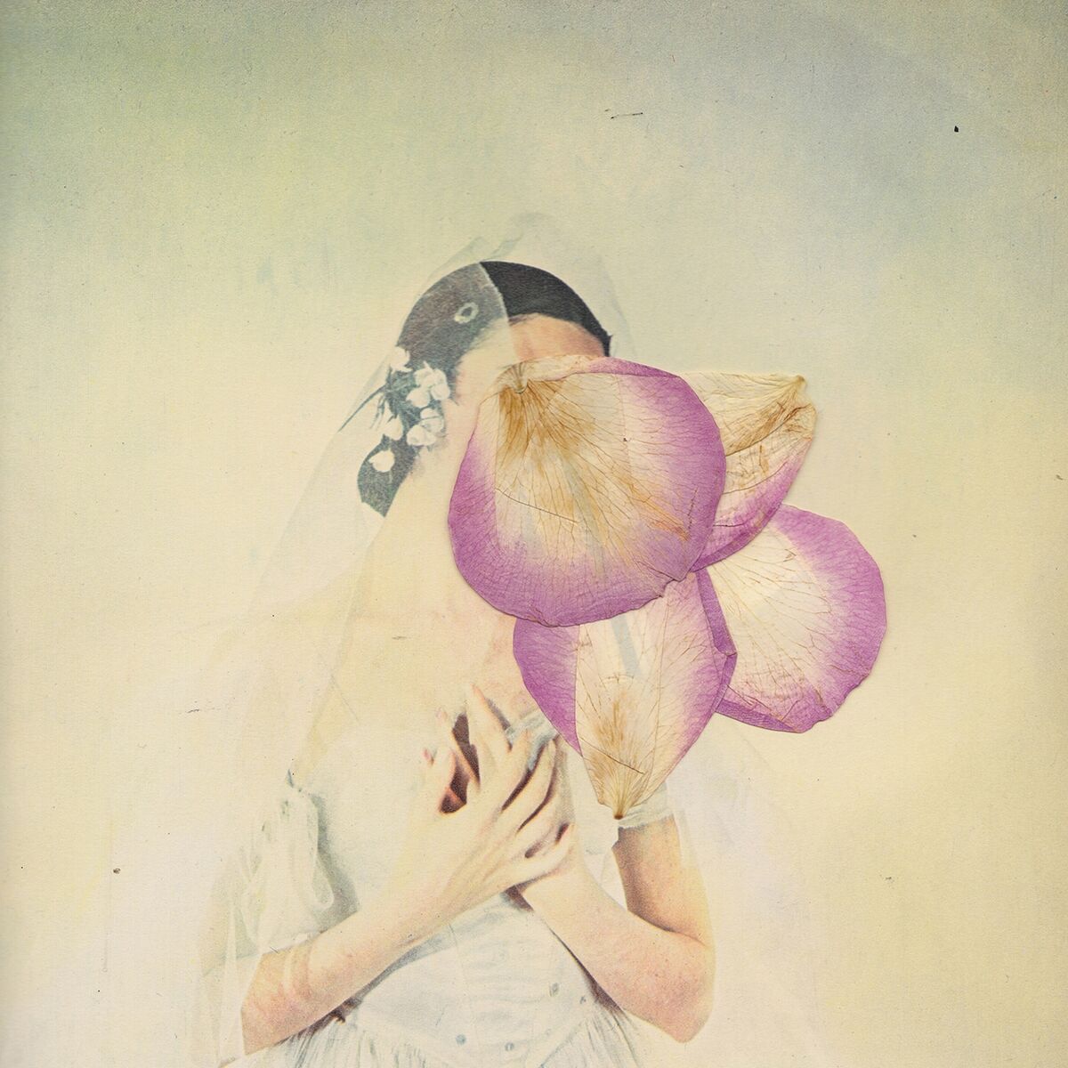 Album cover of Feed Them