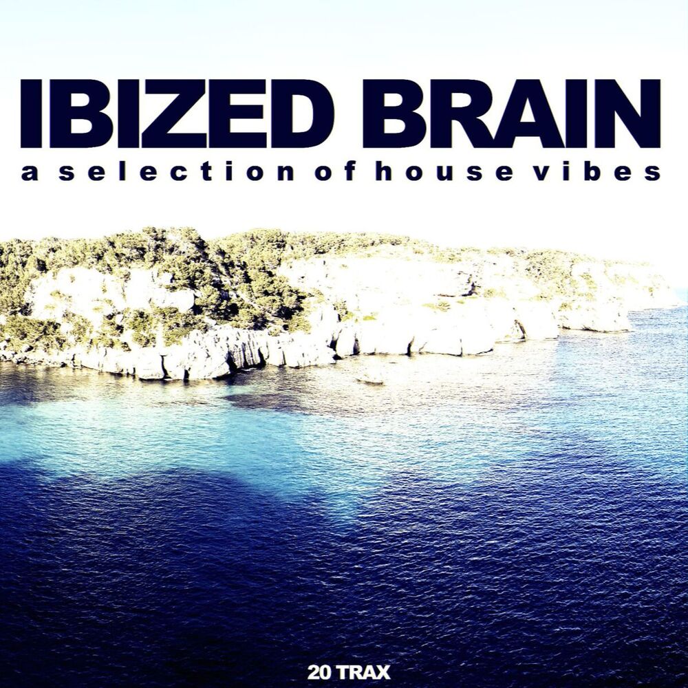 Picture of Ibized Brain - A Selection of House Vibes (Album)