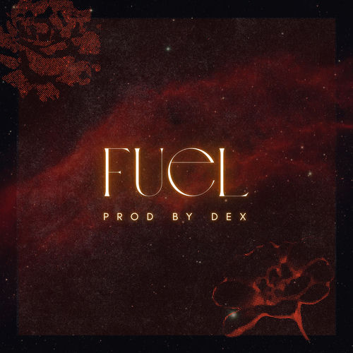 Fuel