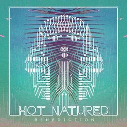 Cover of Benediction (Radio Edit)