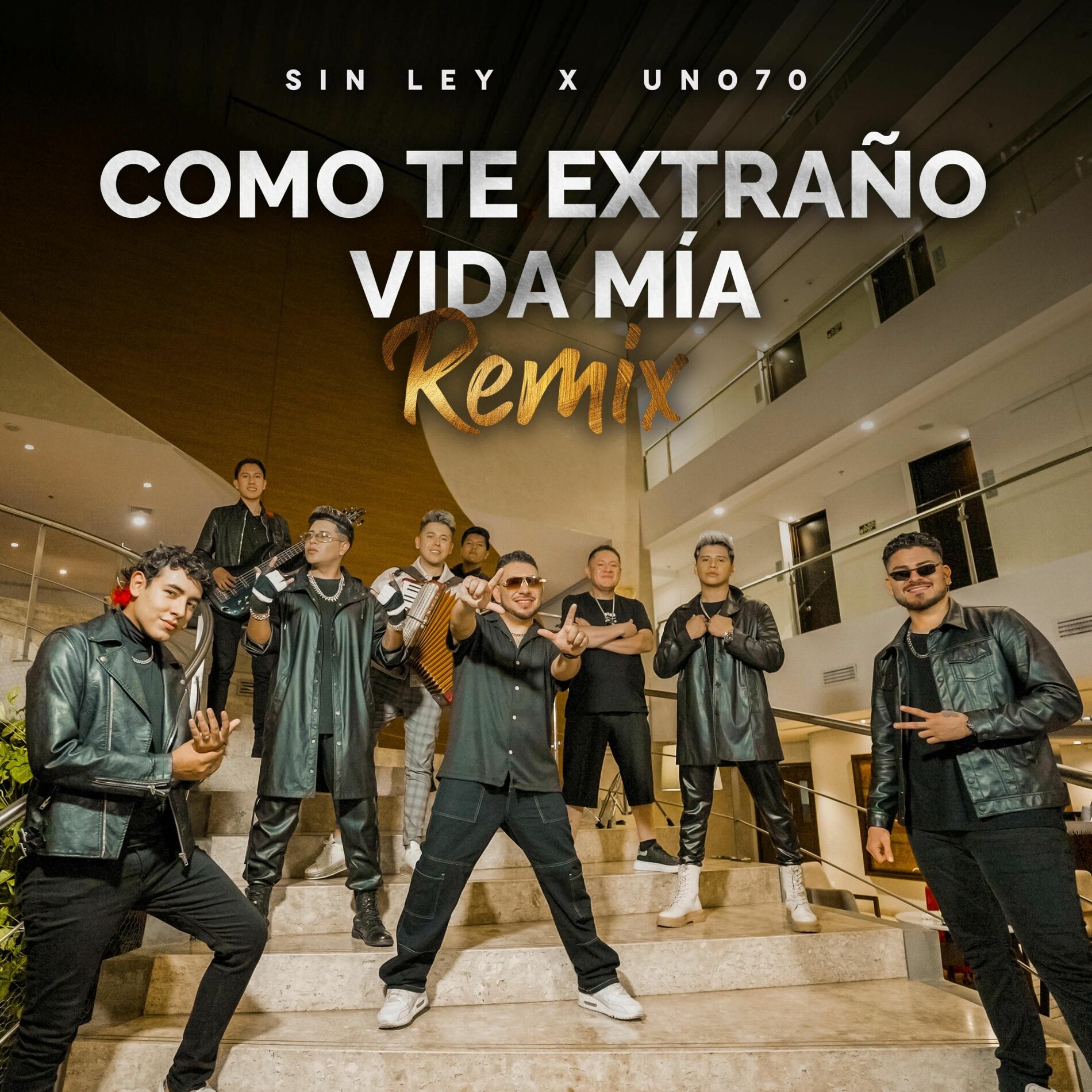 Album cover of Como Te Extraño Vida Mía (Remix)