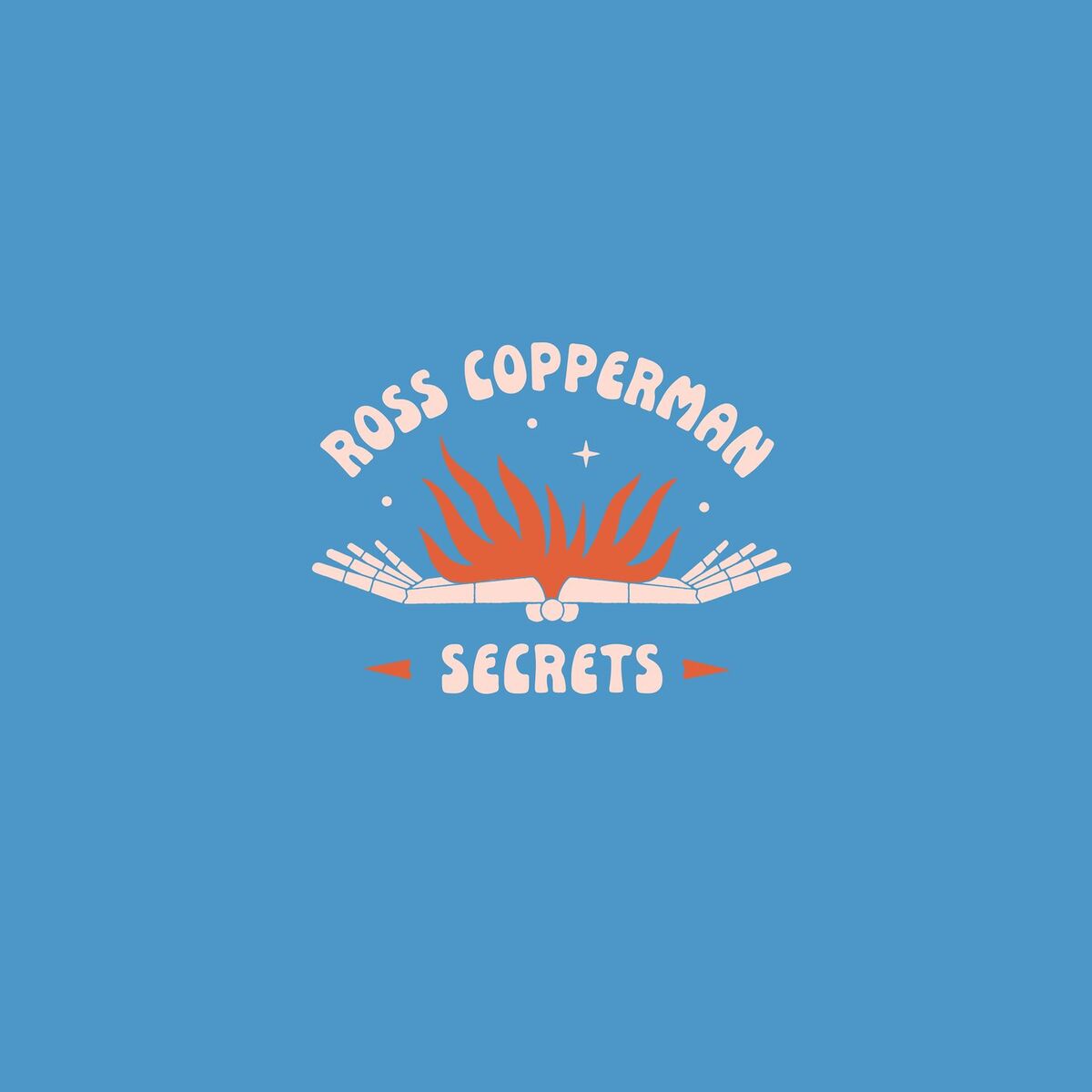Album cover of Secrets