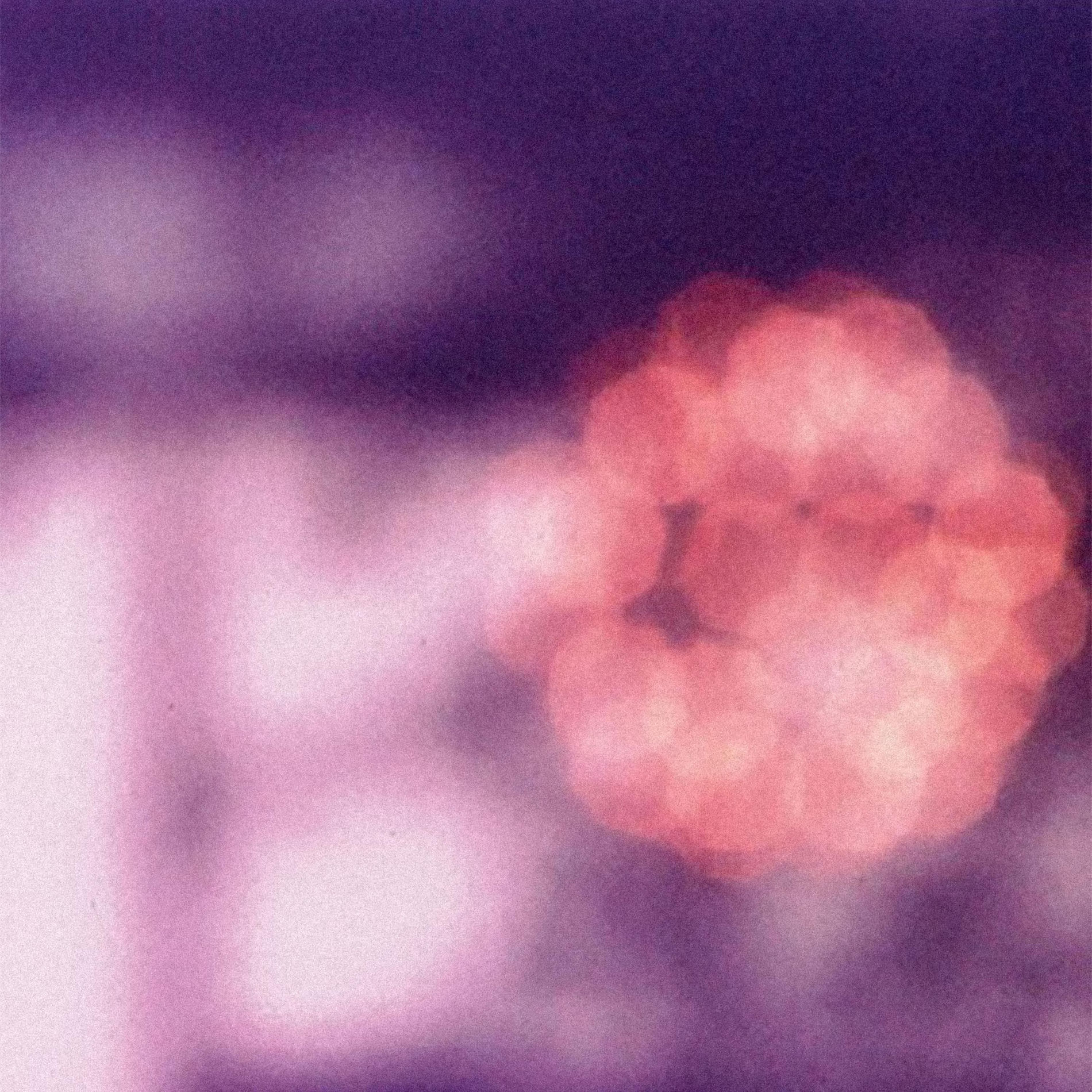 Album cover of Heaven's Gate