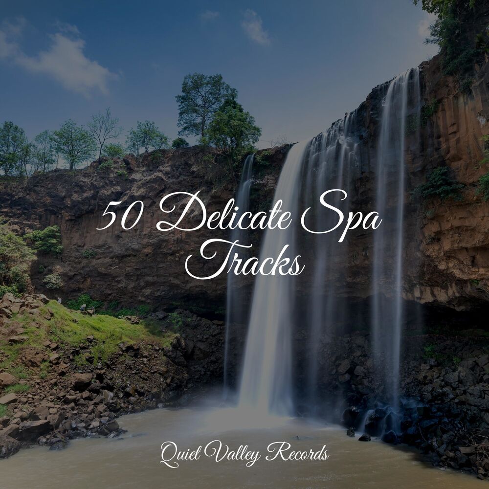 Picture of 50 Delicate Spa Tracks