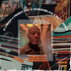Cover of Olufunmi Reimagined