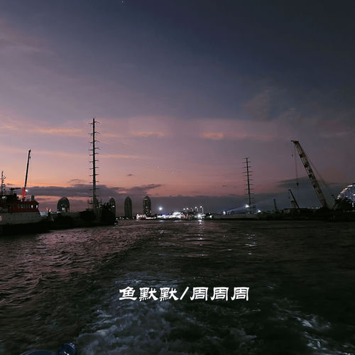 月色倒映在西湖
