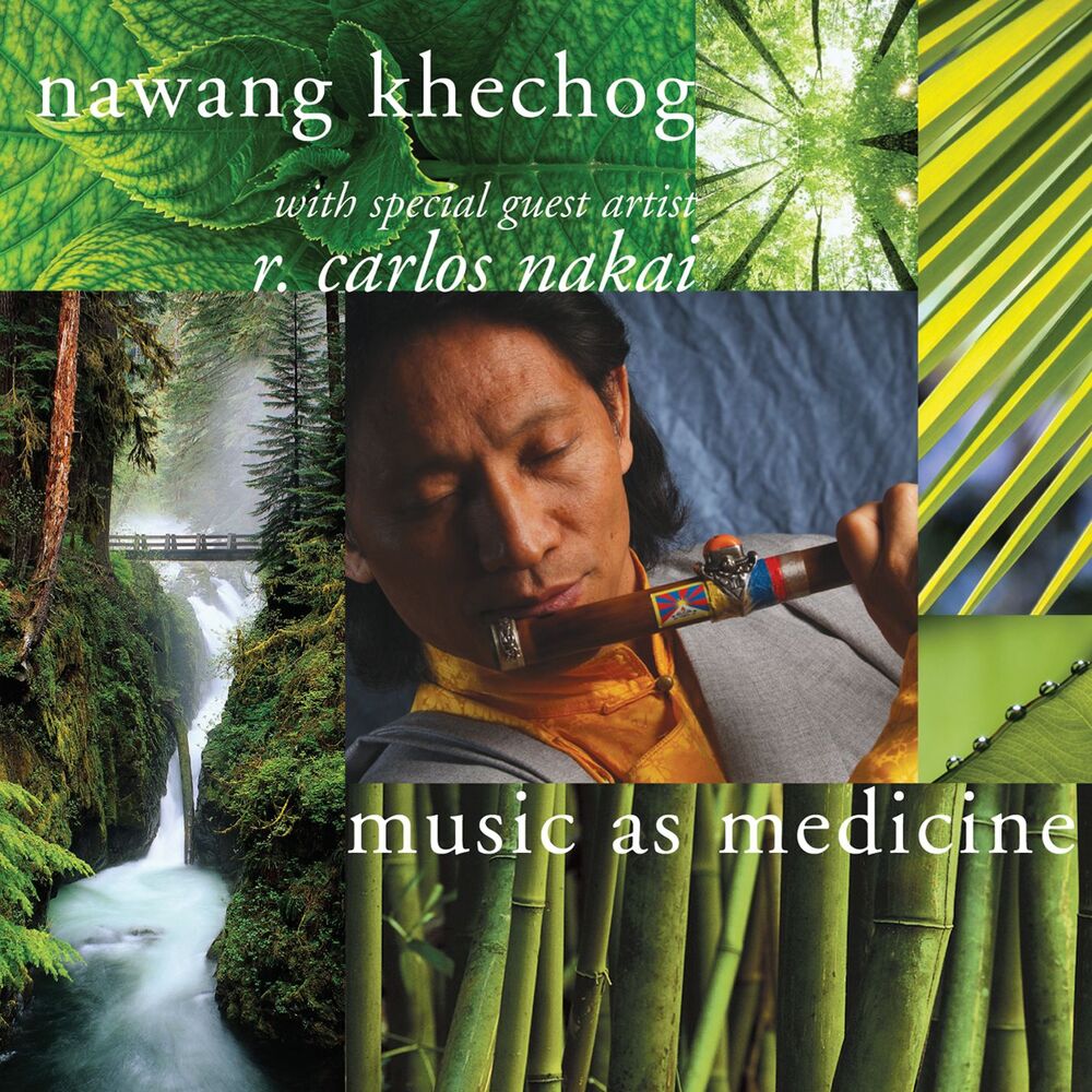 Picture of Music as Medicine