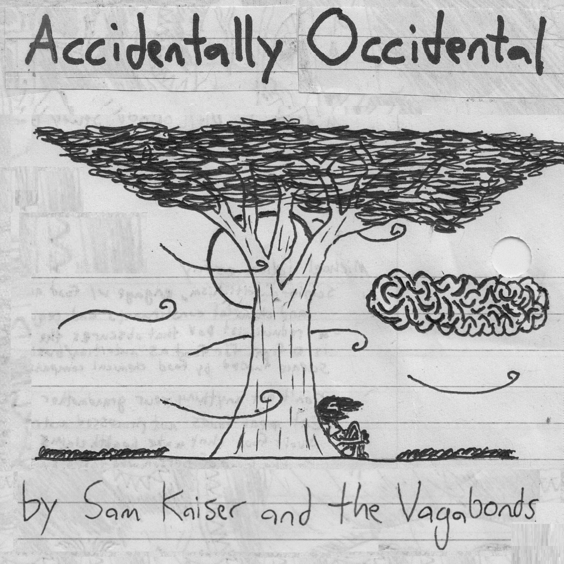 Album cover of Accidentally Occidental