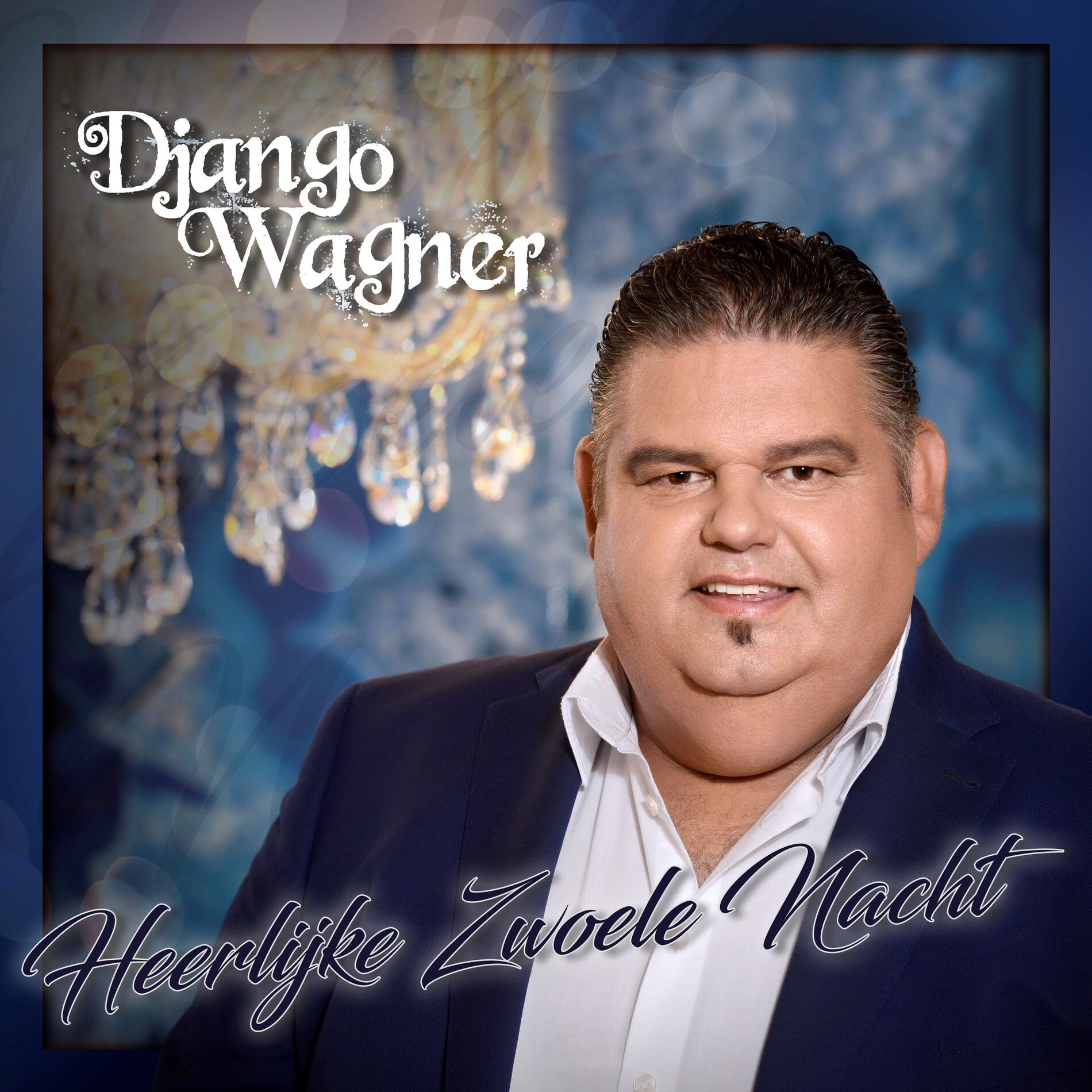 Album cover of Heerlijke Zwoele Nacht