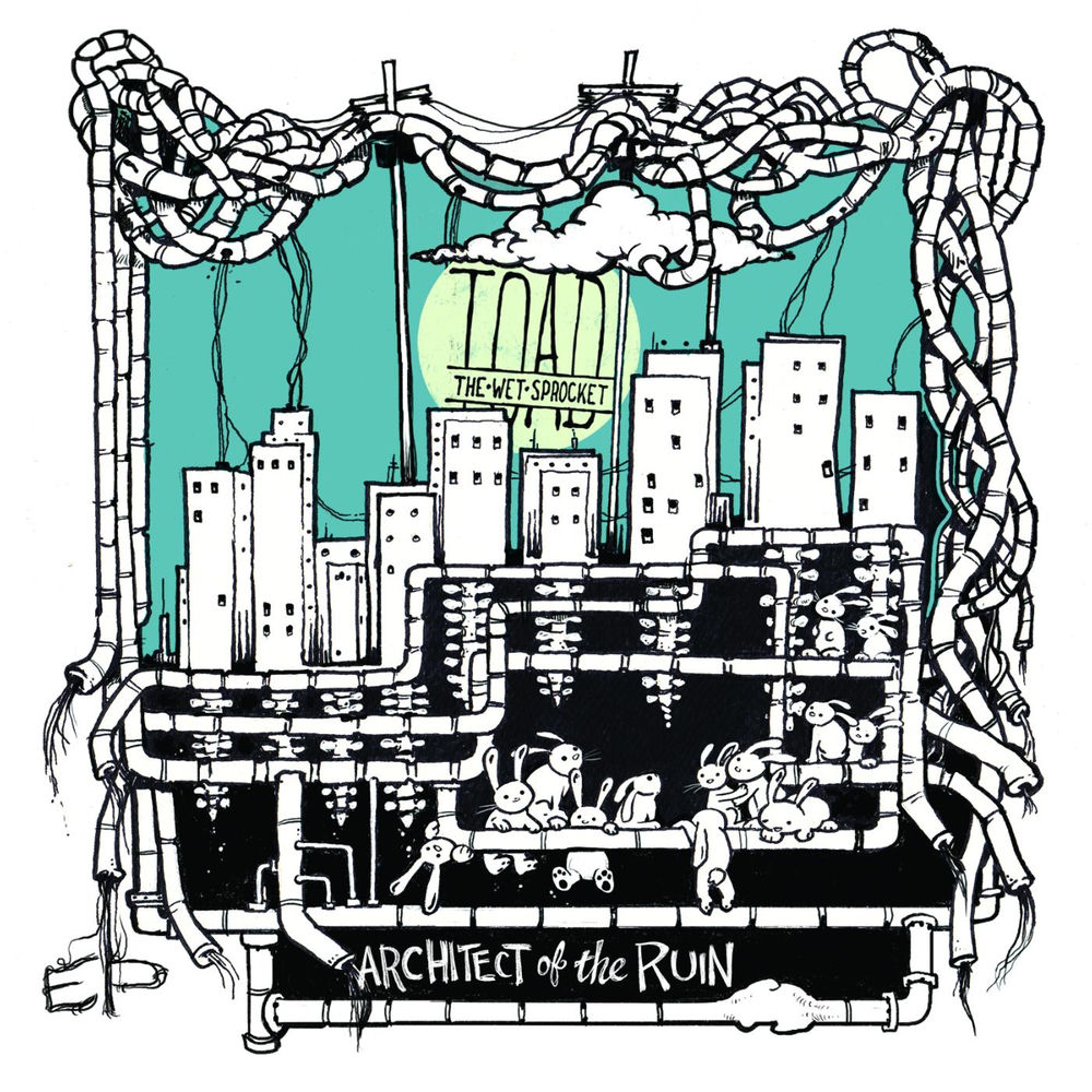 Architect of the Ruin album cover