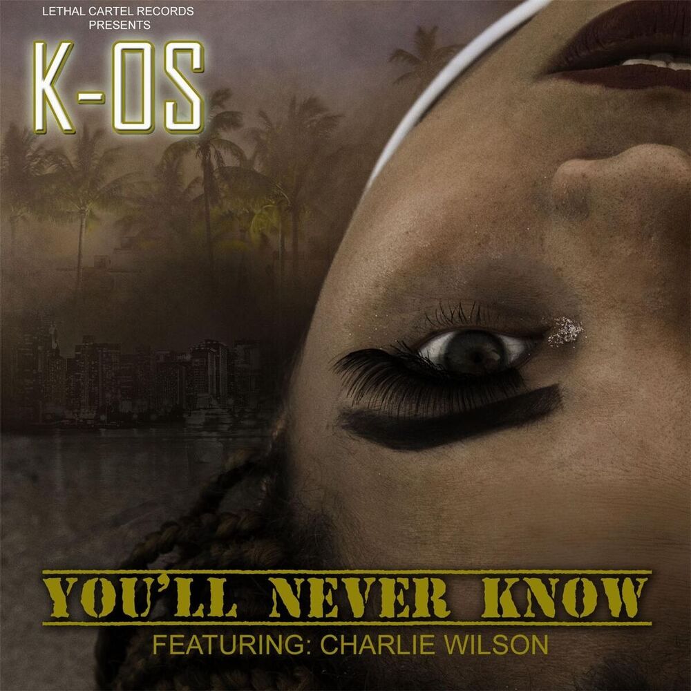 Picture of You'll Never Know