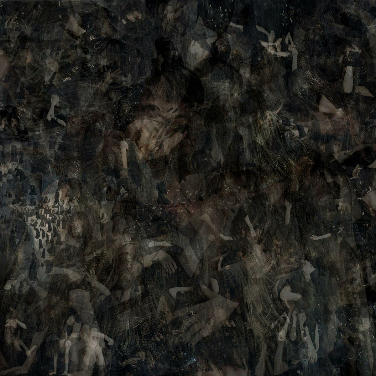 Album cover of 800