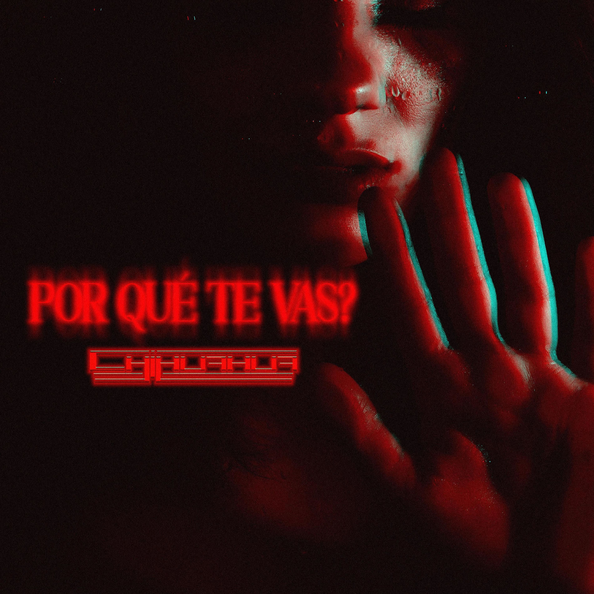 Album cover of Por Qué Te Vas?