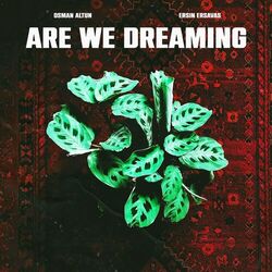 music cover