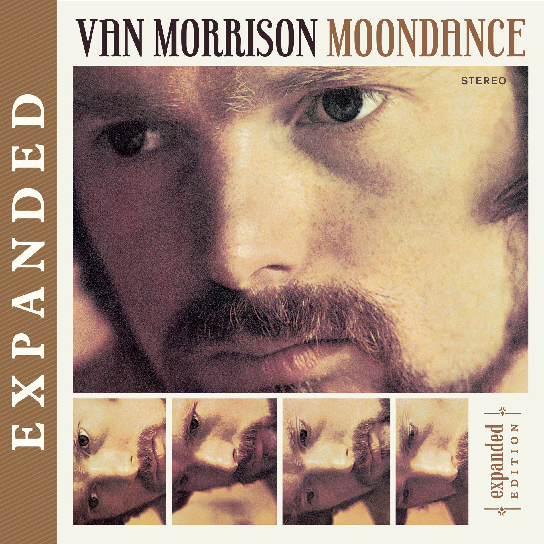 Album picture of Moondance (Expanded Edition)