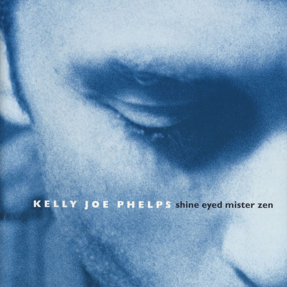 Album cover of Shine Eyed Mister Zen