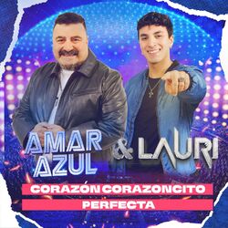 Cover of Corazón corazoncito / Perfecta (En Vivo Movistar Arena, Sesión 5)