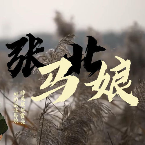 张北马娘