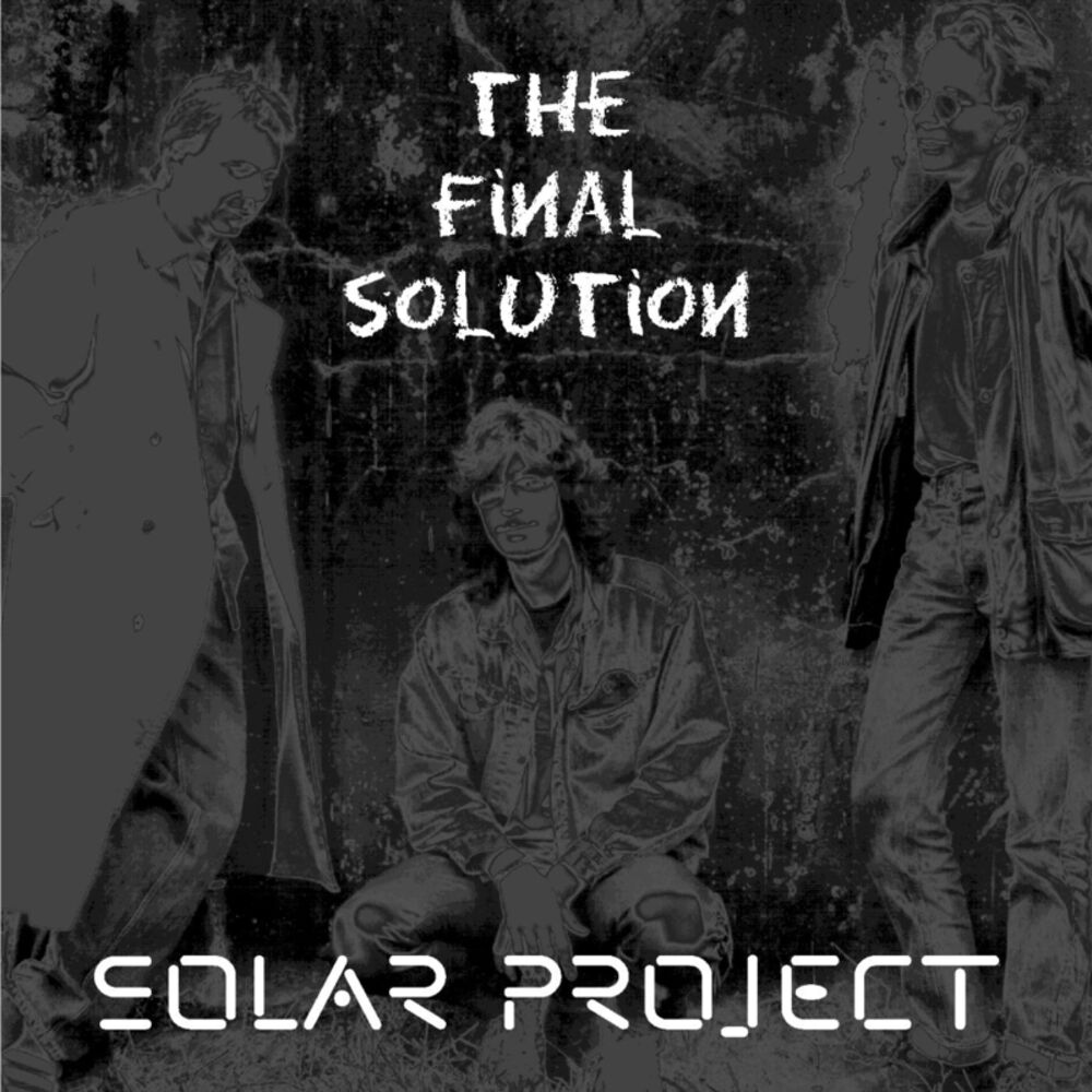 Picture of The Final Solution