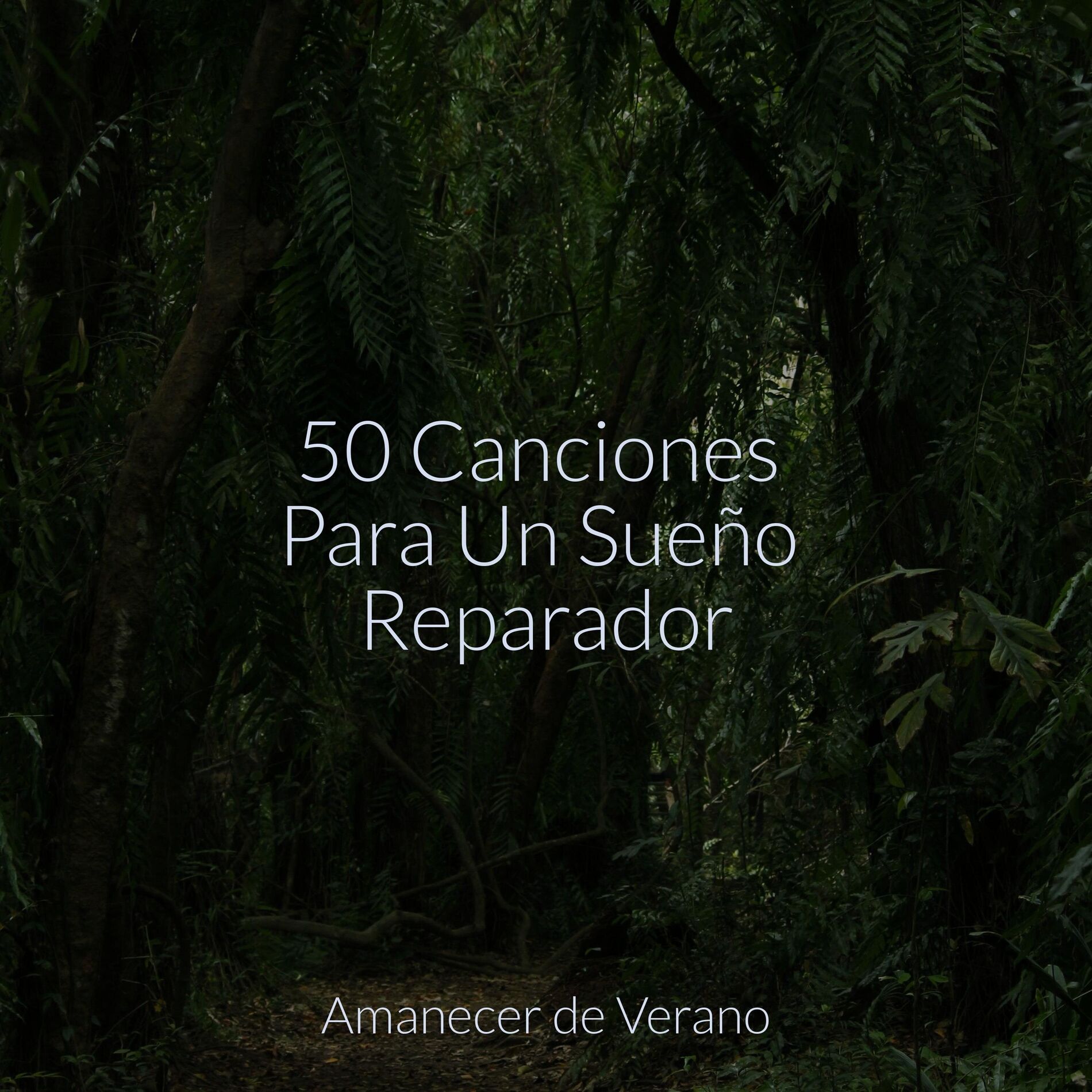 Album cover of 50 Canciones Para Un Sueño Reparador